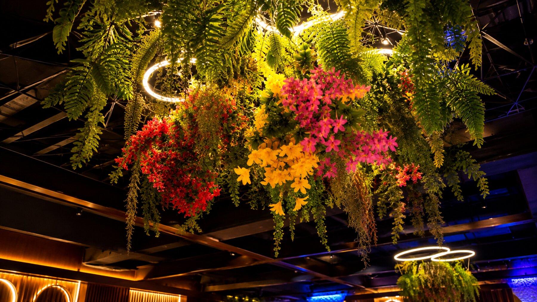 Hanging greens